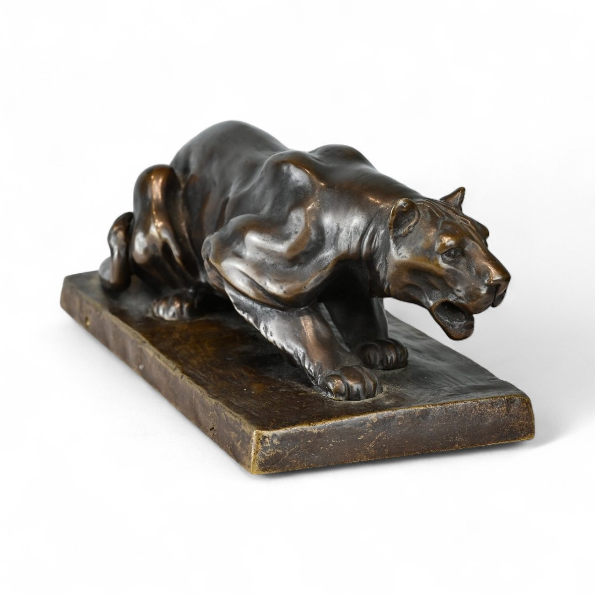 Friedrich Gornik - Pantera in Bronzo - Slovenia Inizio XX Secolo-photo-2